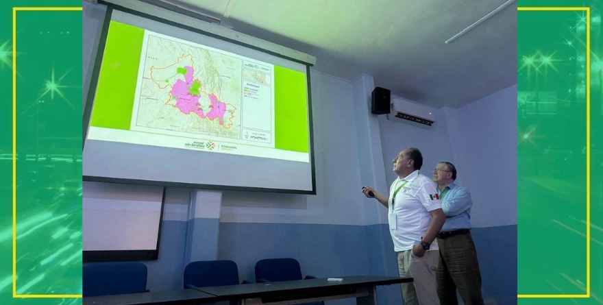 Preparan taller sobre la mariposa monarca