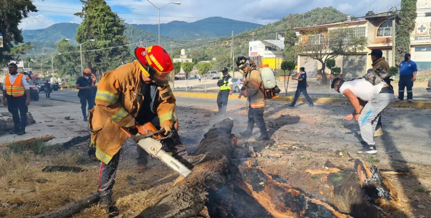 Controlan incendio de árbol urbano