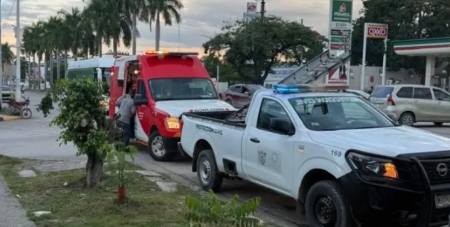 Ataque de abejas en Ciudad Valles cobra la vida de un hombre