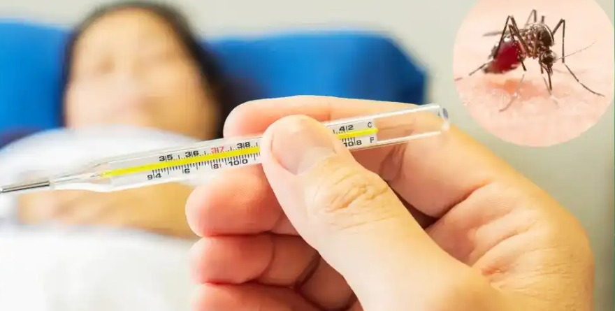Monitorean dengue en San Martín Chalchicuautla