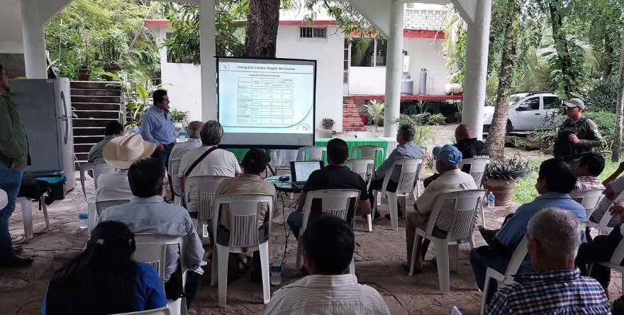 Blindan cultivos en la Huasteca
