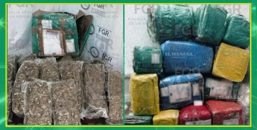 Aseguran 151 kilos de marihuana en aeropuerto de SLP