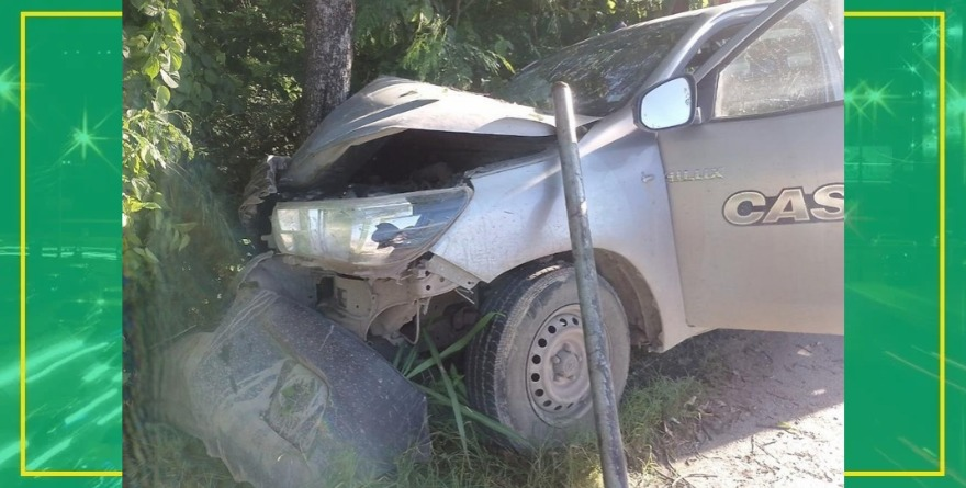 Árbol salva a camioneta de caer en barranco