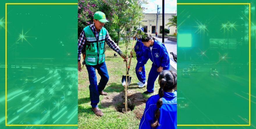 Aradillas reforesta el jardín Hidalgo