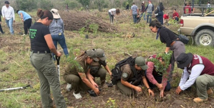 Reforestan cuenca del río Valles en gran jornada ecológica