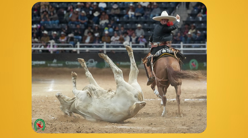TRES REGALOS AMARRA BOLETO A SEMIFINALES